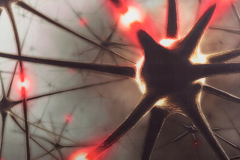 Neurons Custom MILLENNIUM Thumbnail