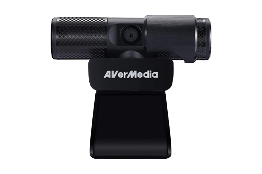 AVerMedia Live Streamer CAM 313