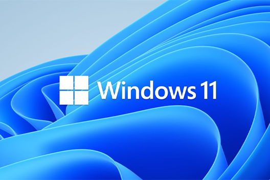 MS Windows 11 Home